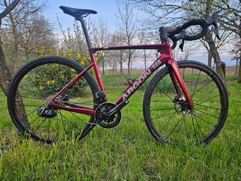Argon 18, Sum SRAM Force AXS 2024