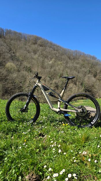 Canyon, Canyon Spectral CF8
