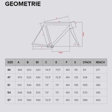 Brugt Bottecchia Emme 4 SLI Custom Frameset 2024 Road & Gravel — billede 15 af 15