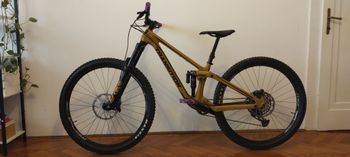 Transition, Sentinel Carbon GX 2022