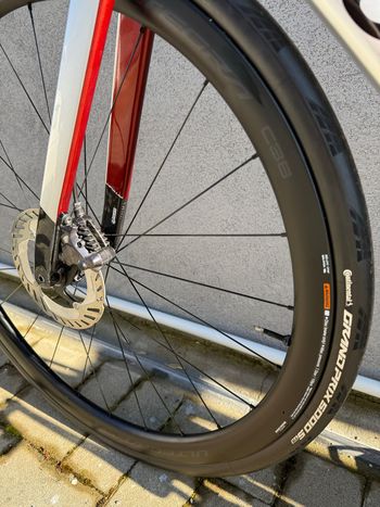 Used Cipollini DOLOMIA Q30MP SHIMANO ULTEGRA DI2 2023 2023 Road & Gravel, Light Gray — image 8 of 15