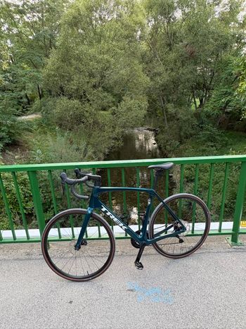 Trek, Domane SL 5 Gen 4 2025