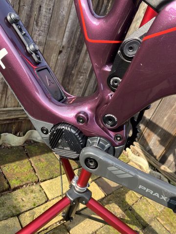 Used Forestal Cyon Neon PRO 2023 Frameset 2023 Mountainbike, Purple, 29 — image 6 of 11