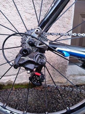 Used Orbea Orbea Custom Campagnolo Chorus 2012 Road & Gravel — image 7 of 9