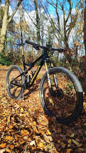 Used Orbea OIZ M-TEAM 2023 2023 Mountainbike, Black, 29 — image 2 of 4