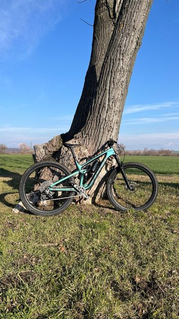 Trek, Top Fuel 9.8 GX AXS T-Type 2024
