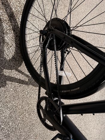 Used birdbike Birdbike Courroie 2024 Frameset 2024 Road & Gravel, Schwarz — image 4 of 5