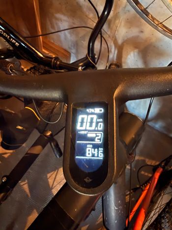 Used birdbike Birdbike Courroie 2024 Frameset 2024 Road & Gravel, Schwarz — image 5 of 5