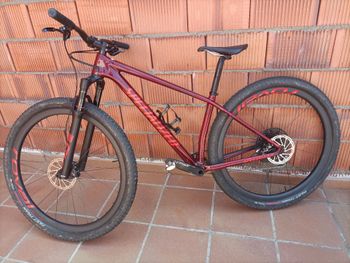 Specialized, Epic Hardtail Expert 2023