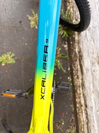 Used Trek X-Caliber 9 2021 2021 Mountainbike — image 3 of 15