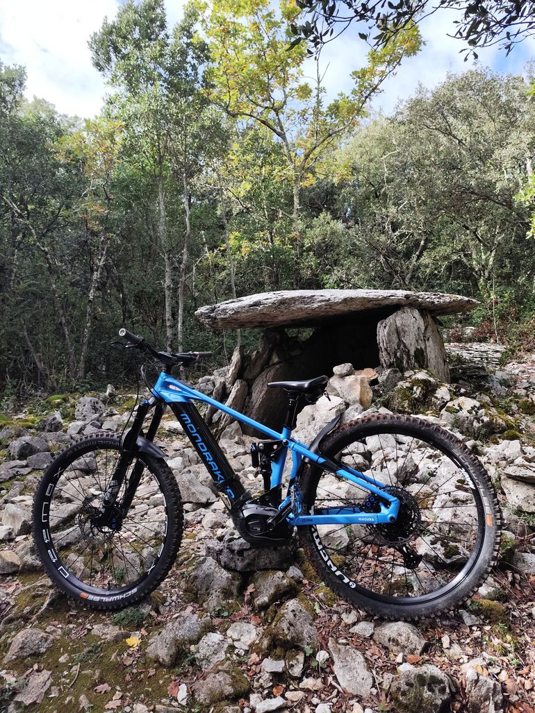 Used Mondraker Crafty SRAM GX Eagle 2023 Mountainbike — image 9 of 9