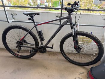 Used Axess Torrent 2019 Road & Gravel