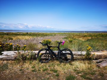 Used BMC Timemachine 01 THREE 2018 2018 Road & Gravel, Black — image 2 of 3