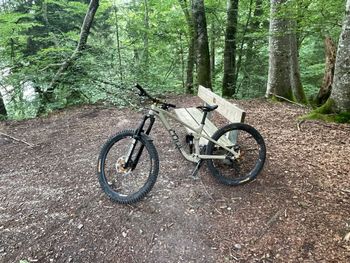 Used CUBE STEREO 170 TM 29 2021 2021 Mountainbike, Orange, 29 — image 6 of 7