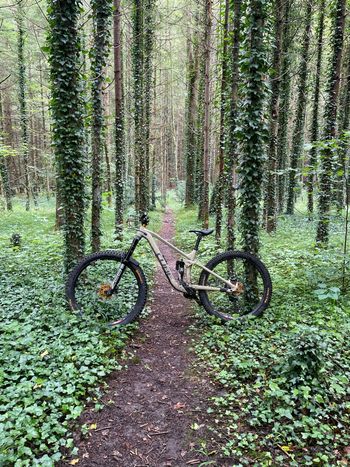 Used CUBE STEREO 170 TM 29 2021 2021 Mountainbike, Orange, 29 — image 5 of 7