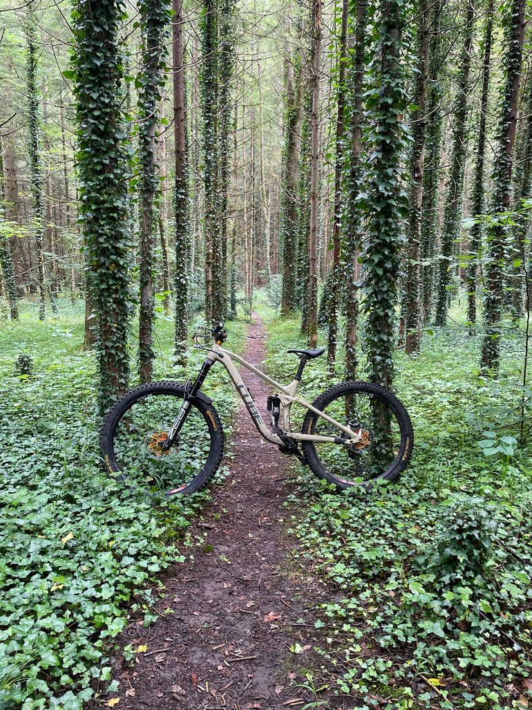 Used CUBE STEREO 170 TM 29 2021 2021 Mountainbike, Orange, 29 — image 5 of 7