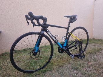 Wilier, GARDA SHIMANO ULTEGRA R8000 2023