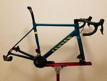 Canyon, Ultimate CF SL 8 WMN W100 2022 Frameset