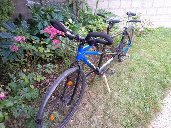 Lapierre, Tandem X-2TEAM