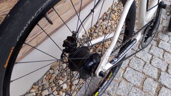 Used Rotor Rotor Patriot 06 Custom 2009 Mountainbike, White — image 3 of 5