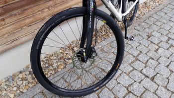 Used Rotor Rotor Patriot 06 Custom 2009 Mountainbike, White — image 4 of 5