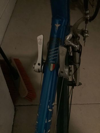 Pinarello, Pinarello - Other Campagnolo Record