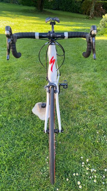 Used Specialized Roubaix SL4 Expert 2014 2014 Road & Gravel, White — image 3 of 6