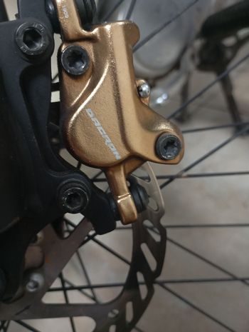 Used Corelli Corelli Custom Other 2019 Mountainbike, Nero — image 6 of 12