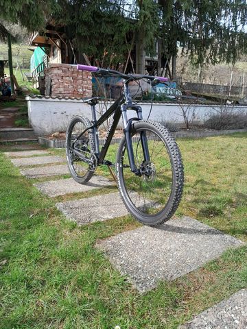 Used Cannondale Trail 8 2023 2023 Mountainbike, Black, 29 — image 9 of 9