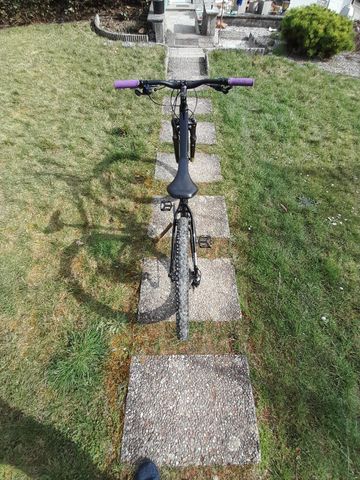 Used Cannondale Trail 8 2023 2023 Mountainbike, Black, 29 — image 5 of 9
