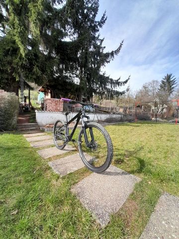 Used Cannondale Trail 8 2023 2023 Mountainbike, Black, 29 — image 8 of 9