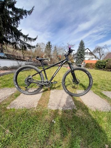 Used Cannondale Trail 8 2023 2023 Mountainbike, Black, 29 — image 4 of 9