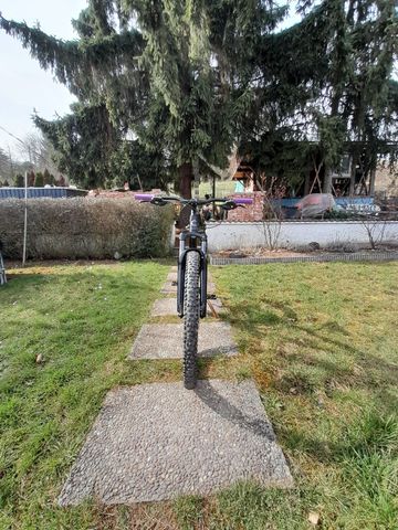Used Cannondale Trail 8 2023 2023 Mountainbike, Black, 29 — image 7 of 9