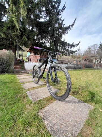 Used Cannondale Trail 8 2023 2023 Mountainbike, Black, 29 — image 3 of 9