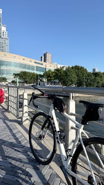 Trek, Domane Shimano Tiagra