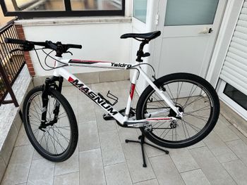 Magnum, Magnum Custom Shimano Altus