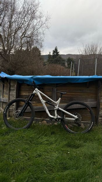 Canyon, Torque 29 AL 5 2022