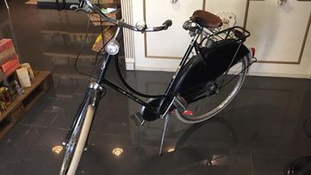 Gazelle, Classic High-Step 2025