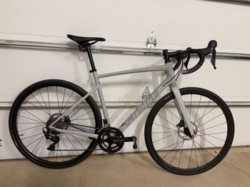 Specialized, Allez Sport 2024