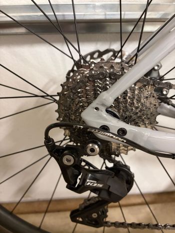 Used Specialized Allez Sport 2024 2024 Road & Gravel, Light Gray — image 2 of 4