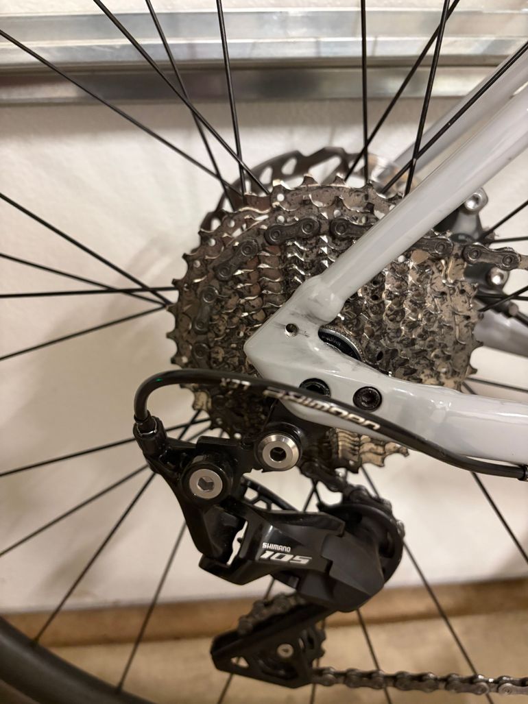 Used Specialized Allez Sport 2024 2024 Road & Gravel, Light Gray — image 2 of 4