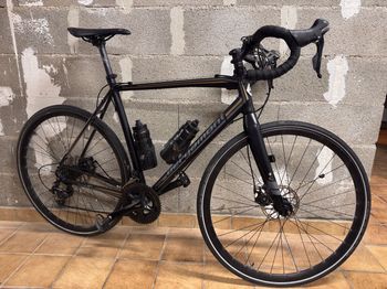 Bergamont, Bergamont Gravel