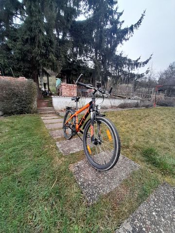 Used Yazoo Custom 2023 Youth, Orange — image 6 of 7