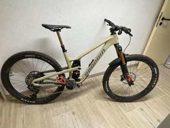 Used Propain Tyee SRAM GX Eagle AXS 2025 Mountainbike, Light Gray — image 3 of 6