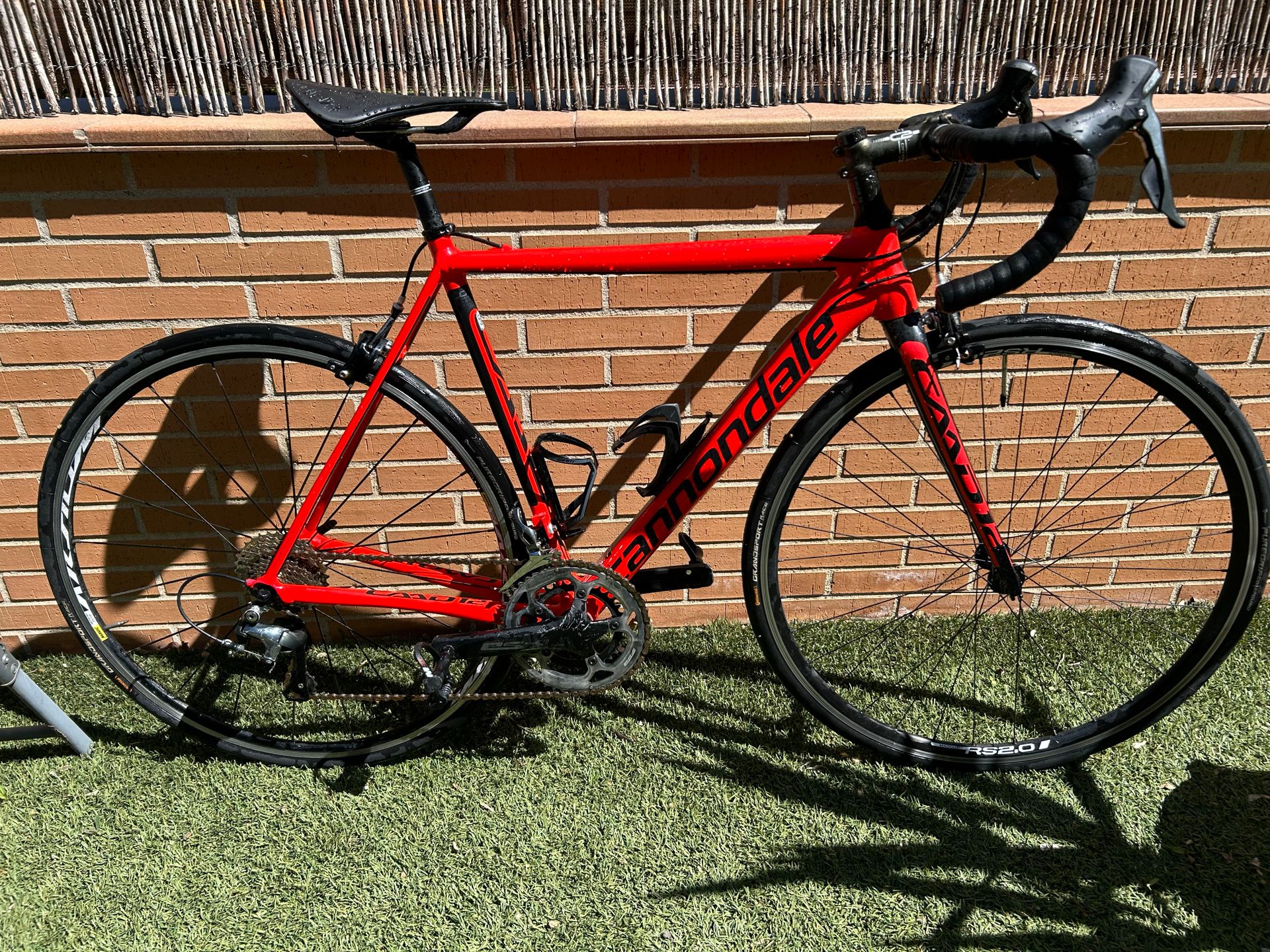 CANNONDALE キャノンデール CAAD12 TIAGRA Cannondale CAAD12 Shimano Tiagra 2019