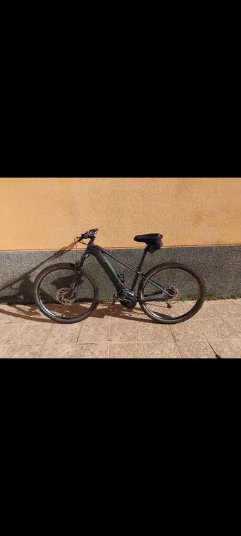 Orbea, WILD HT 30 29 2022