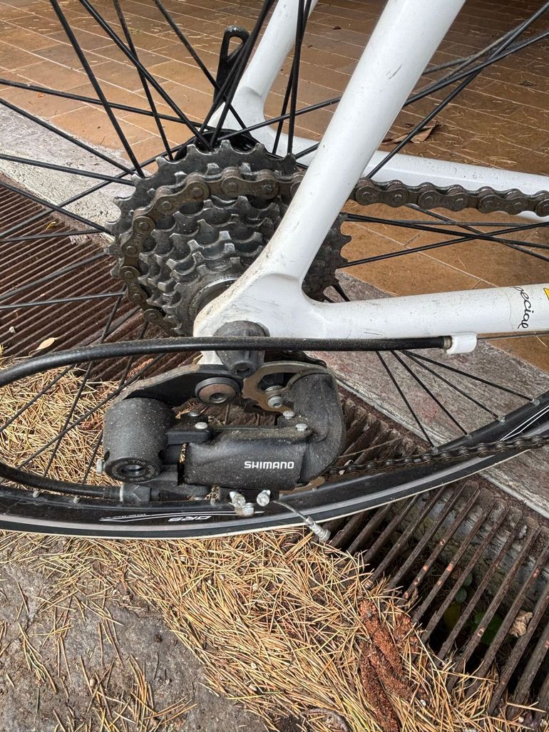 Used Berma Berma Custom Campagnolo Record 1990 Road & Gravel — image 3 of 4