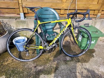 Used Focus Cayo Shimano 105 2015 Road & Gravel, Black — image 2 of 3