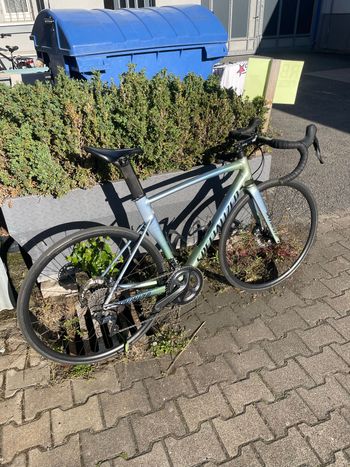 Specialized, Allez Shimano Ultegra