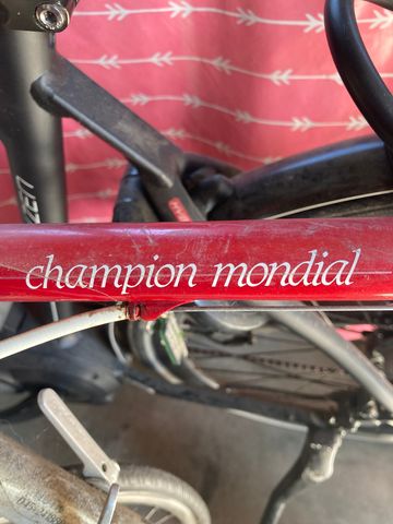 Gazelle Champion Mondial 1973 Road & Gravel usato, Rosso — immagine 1 di 9